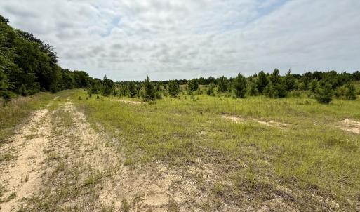 Photo #15 of 02 Titan Roberts Rd, Erwin, NC 50.0 acres