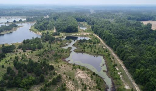 Photo #16 of 02 Titan Roberts Rd, Erwin, NC 50.0 acres
