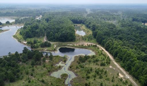 Photo #2 of 02 Titan Roberts Rd, Erwin, NC 50.0 acres