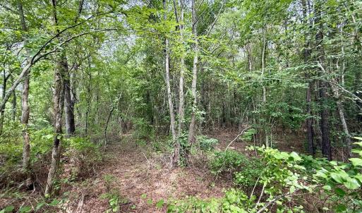 Photo #23 of 02 Titan Roberts Rd, Erwin, NC 50.0 acres
