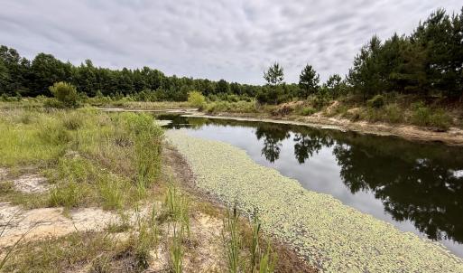 Photo #25 of 02 Titan Roberts Rd, Erwin, NC 50.0 acres