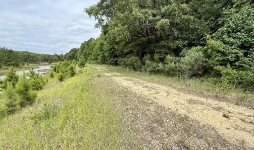 Photo #27 of 02 Titan Roberts Rd, Erwin, NC 50.0 acres