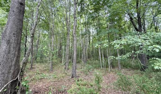 Photo #34 of 02 Titan Roberts Rd, Erwin, NC 50.0 acres