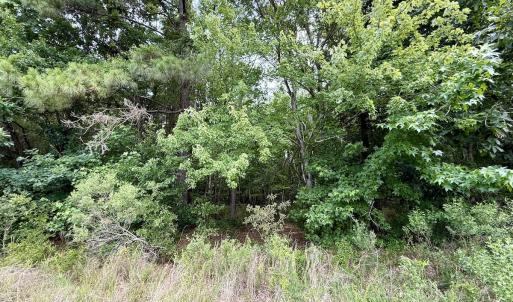 Photo #35 of 02 Titan Roberts Rd, Erwin, NC 50.0 acres