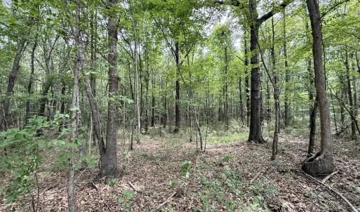 Photo #36 of 02 Titan Roberts Rd, Erwin, NC 50.0 acres