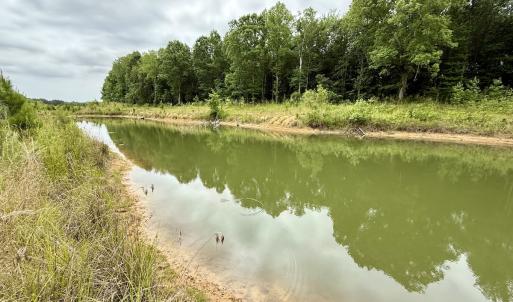 Photo #37 of 02 Titan Roberts Rd, Erwin, NC 50.0 acres