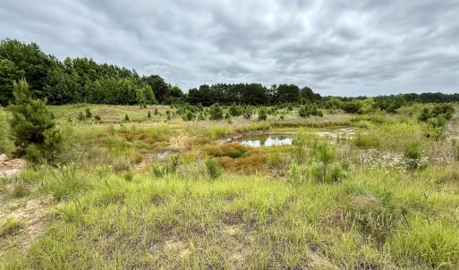 Photo #4 of 02 Titan Roberts Rd, Erwin, NC 50.0 acres