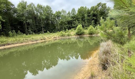 Photo #5 of 02 Titan Roberts Rd, Erwin, NC 50.0 acres