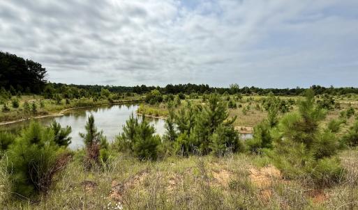 Photo #6 of 02 Titan Roberts Rd, Erwin, NC 50.0 acres