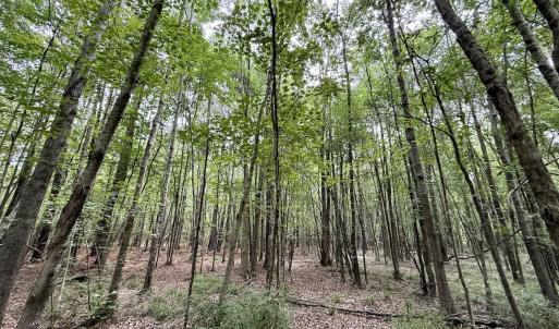 Photo #7 of 02 Titan Roberts Rd, Erwin, NC 50.0 acres