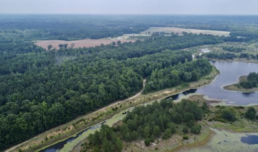 Photo #46 of 02 Titan Roberts Rd, Erwin, NC 50.0 acres