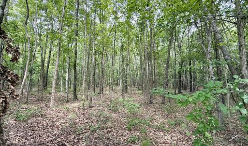 Photo #49 of 02 Titan Roberts Rd, Erwin, NC 50.0 acres
