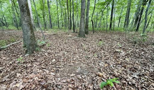 Photo #53 of 02 Titan Roberts Rd, Erwin, NC 50.0 acres