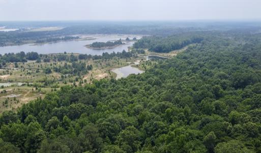 Photo #14 of 01 Titan Roberts Rd, Erwin, NC 45.0 acres