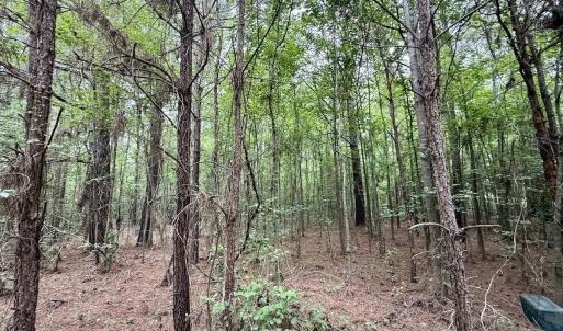Photo #21 of 01 Titan Roberts Rd, Erwin, NC 45.0 acres