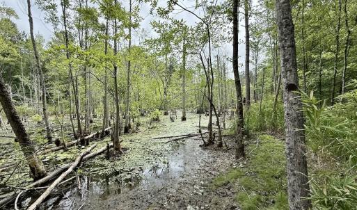 Photo #8 of 01 Titan Roberts Rd, Erwin, NC 45.0 acres