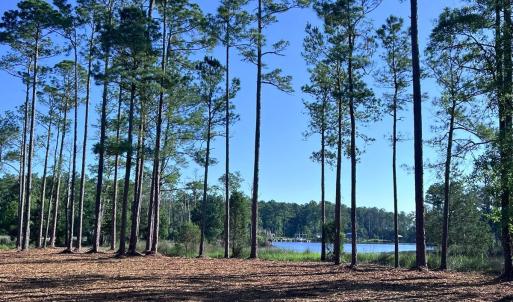 Photo #1 of Off Jarvis Landing Rd, Aurora, NC 14.1 acres