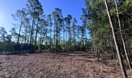 Photo #10 of Off Jarvis Landing Rd, Aurora, NC 14.1 acres
