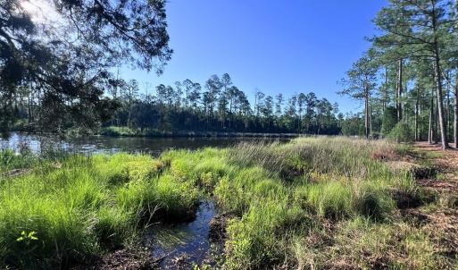 Photo #11 of Off Jarvis Landing Rd, Aurora, NC 14.1 acres