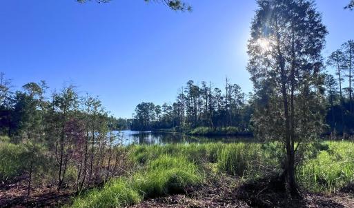 Photo #12 of Off Jarvis Landing Rd, Aurora, NC 14.1 acres