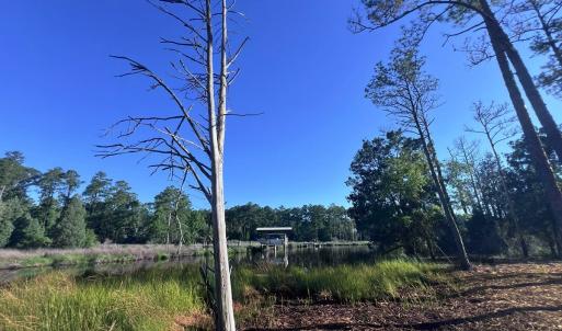 Photo #14 of Off Jarvis Landing Rd, Aurora, NC 14.1 acres