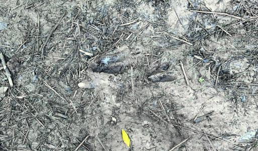 Photo #17 of Off Jarvis Landing Rd, Aurora, NC 14.1 acres