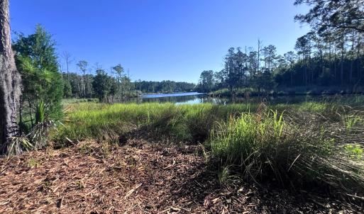Photo #2 of Off Jarvis Landing Rd, Aurora, NC 14.1 acres