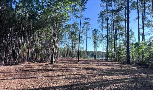 Photo #20 of Off Jarvis Landing Rd, Aurora, NC 14.1 acres