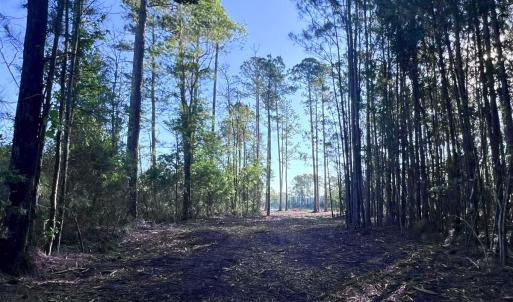 Photo #22 of Off Jarvis Landing Rd, Aurora, NC 14.1 acres