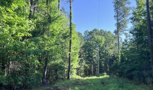 Photo #25 of Off Jarvis Landing Rd, Aurora, NC 14.1 acres
