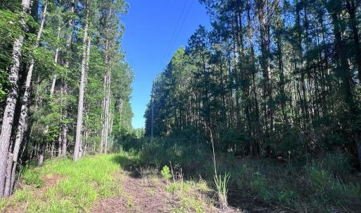Photo #26 of Off Jarvis Landing Rd, Aurora, NC 14.1 acres