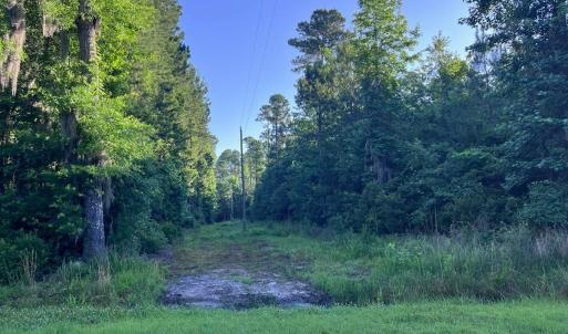 Photo #27 of Off Jarvis Landing Rd, Aurora, NC 14.1 acres
