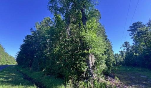 Photo #28 of Off Jarvis Landing Rd, Aurora, NC 14.1 acres