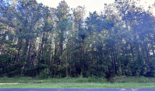 Photo #31 of Off Jarvis Landing Rd, Aurora, NC 14.1 acres