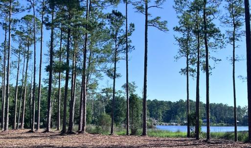 Photo #5 of Off Jarvis Landing Rd, Aurora, NC 14.1 acres