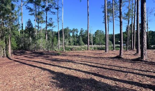 Photo #7 of Off Jarvis Landing Rd, Aurora, NC 14.1 acres