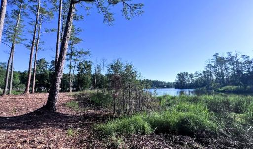 Photo #9 of Off Jarvis Landing Rd, Aurora, NC 14.1 acres