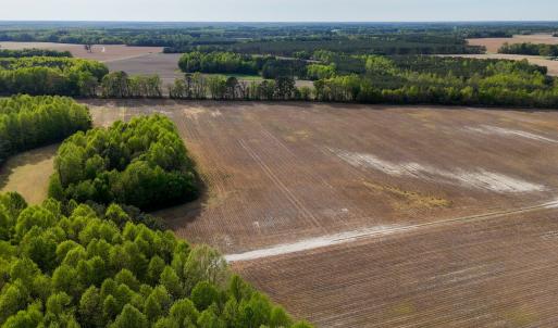 Photo #12 of 1428 Deberrys Mill Rd, Conway, NC 343.5 acres