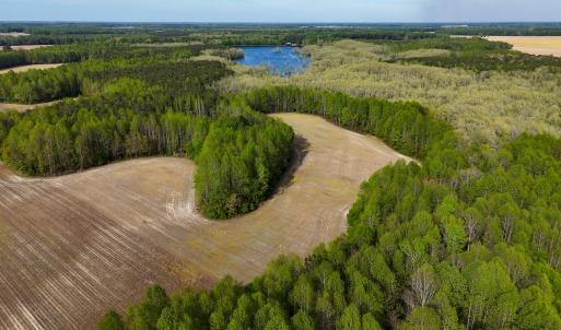 Photo #5 of 1428 Deberrys Mill Rd, Conway, NC 343.5 acres