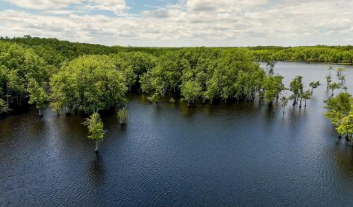 Photo #81 of 1428 Deberrys Mill Rd, Conway, NC 343.5 acres