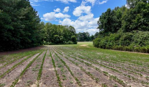 Photo #82 of 1428 Deberrys Mill Rd, Conway, NC 343.5 acres