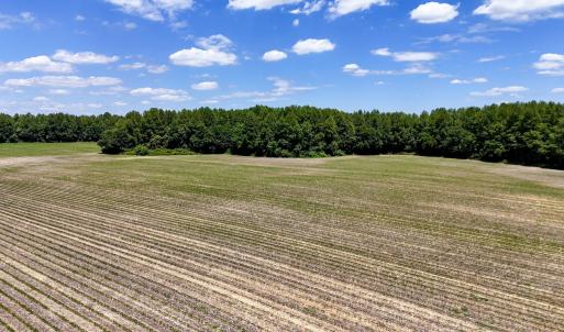 Photo #83 of 1428 Deberrys Mill Rd, Conway, NC 343.5 acres