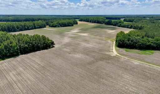 Photo #84 of 1428 Deberrys Mill Rd, Conway, NC 343.5 acres