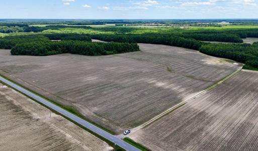 Photo #87 of 1428 Deberrys Mill Rd, Conway, NC 343.5 acres