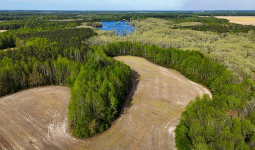 Photo #90 of 1428 Deberrys Mill Rd, Conway, NC 343.5 acres