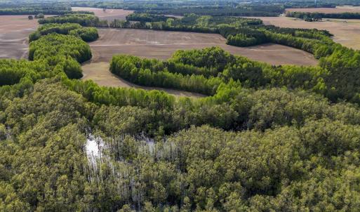 Photo #91 of 1428 Deberrys Mill Rd, Conway, NC 343.5 acres