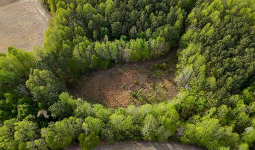 Photo #92 of 1428 Deberrys Mill Rd, Conway, NC 343.5 acres