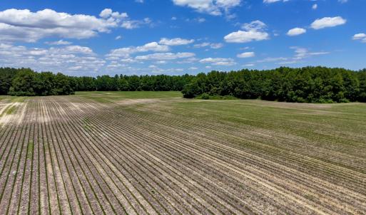 Photo #95 of 1428 Deberrys Mill Rd, Conway, NC 343.5 acres