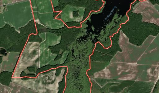 Photo #96 of 1428 Deberrys Mill Rd, Conway, NC 343.5 acres