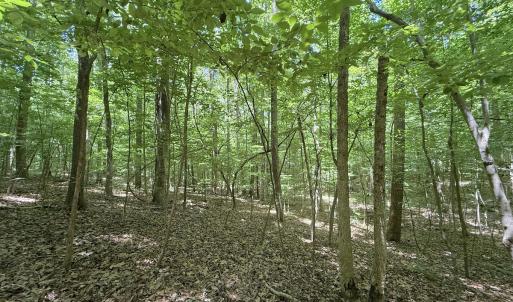 Photo #17 of Off of Buttonwood Ln Lot 5, Roxboro, NC 5.1 acres